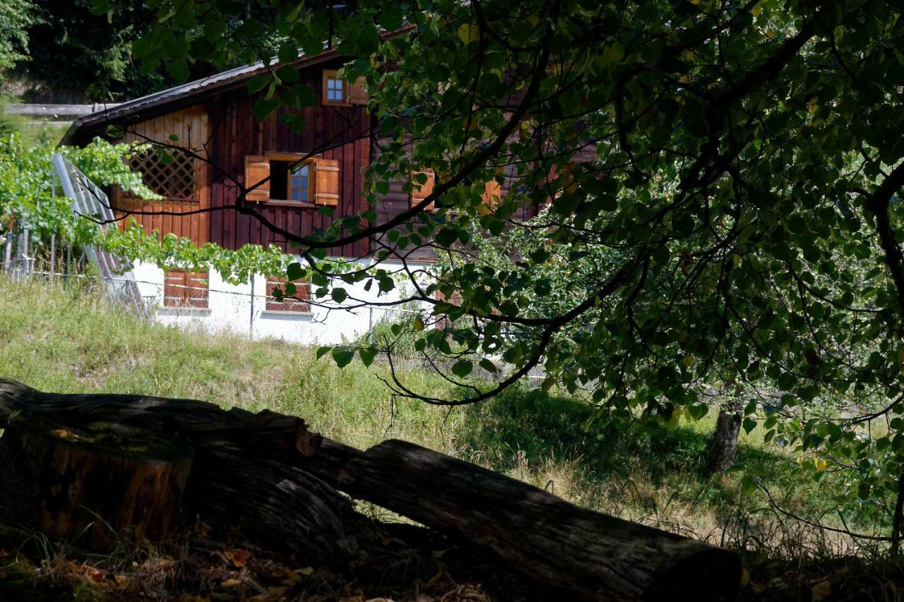 Landhaus Tenne Bartholomäberg Eksteriør bilde